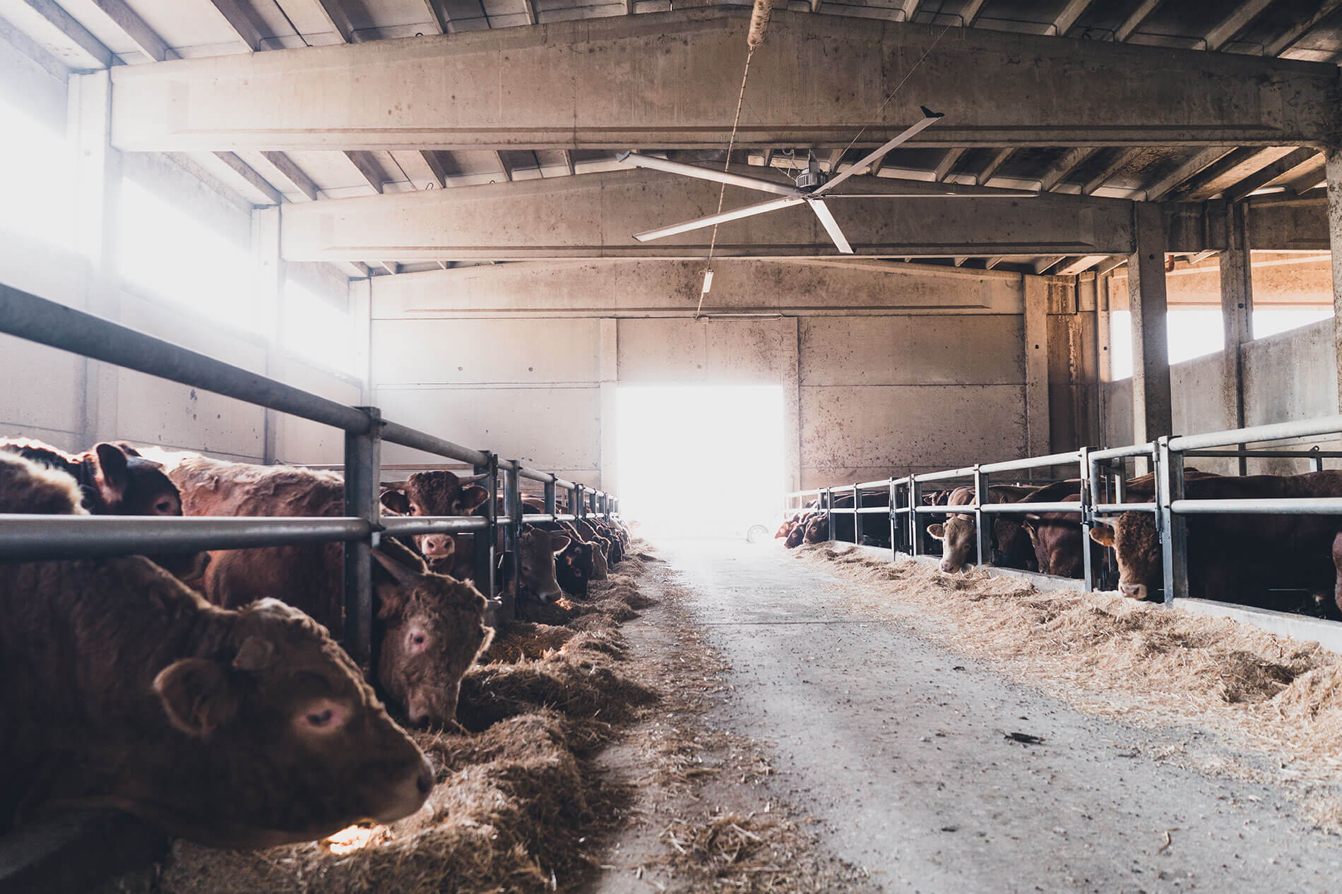 Ventilation for barns